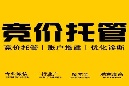 SEM广告投放的创意与执行：成功案例剖析